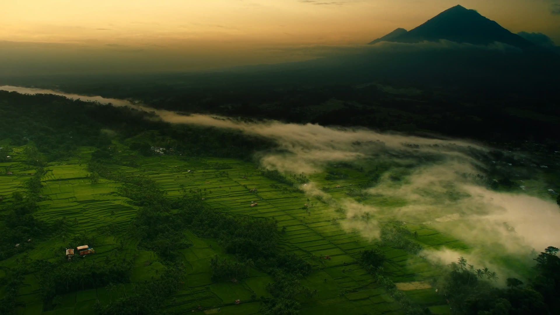 Rice terraces at dawn